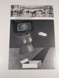 Lampi-museo -76