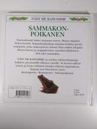 Sammakonpoikanen