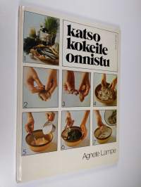 Katso, kokeile, onnistu