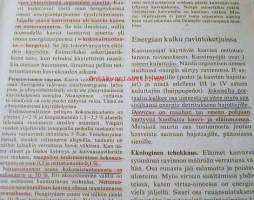 Koulun  biologiassa  lukiokurssit  1-2