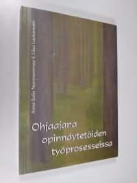 Ohjaajana opinnäytetöiden työprosesseissa : ryhmäohjauksen käytäntöä ja teoriaa