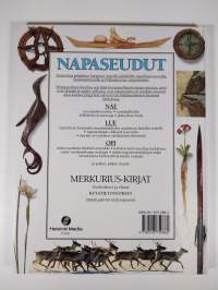 Napaseudut