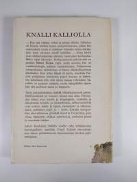 Knalli kalliolla : pakinoita