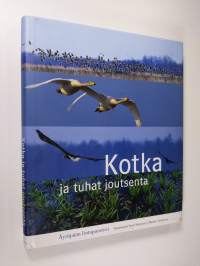 Kotka ja tuhat joutsenta : Äyräpään lintuparatiisi (signeerattu)