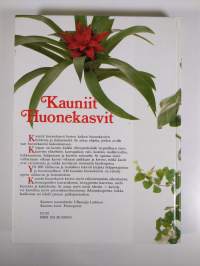 Kauniit huonekasvit