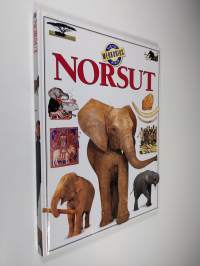 Norsut