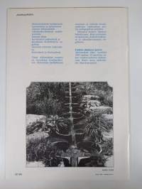 Alkumatka 4/1983