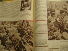 Kotiliesi 1960 nr 13 Heinäkuu. Aiheita :  mieheni on arkkitehti (kirj. Auli Järvi) . Miksi äiti nalkuttaa? Runsaasti mainoksia ja muuta ajankuvaa 1960 -luvulta
