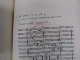 Sibelius i närbild och samtal
