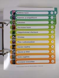 Kukkiva kotini : ruukkukasvien ABC