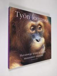 Työn lomassa : innostavia ajatuksia elämästä (ERINOMAINEN)