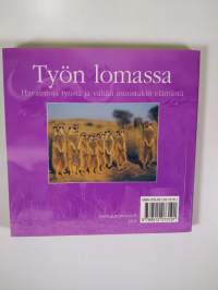 Työn lomassa : innostavia ajatuksia elämästä (ERINOMAINEN)