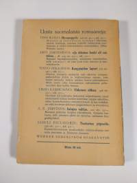 Ehkä me vielä jaksamme nousta : romaani