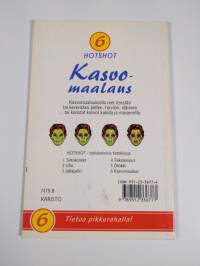 Kasvomaalaus