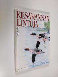 Kesärannan lintuja