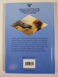 Keskiyönratsastaja