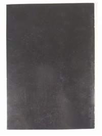 Wilhelm Lehmbruck 1881 - 1919 : Veistoksia = Skulptur, maalauksia = Målningar, Grafiikka = Grafik