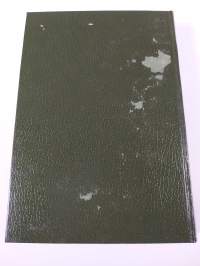 Pudonnut kukka : salapoliisiromaani