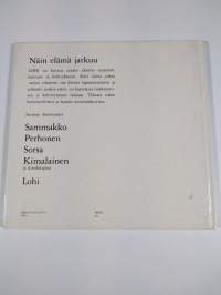 Lohi