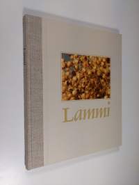Lammi