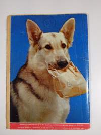 Lassie N:o 7 / 1958