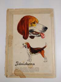 Lassie N:o 9 / 1958