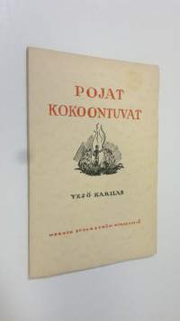 Pojat kokoontuvat : ajatuksia poikien kristillisestä kasvatuksesta