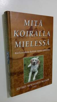 Mitä koiralla mielessä : kurkistuksia koiran tunne-elämään