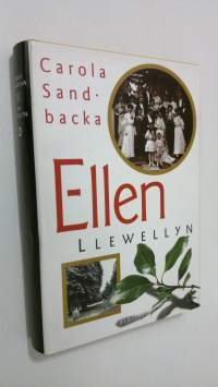 Ellen Llewellyn : roman