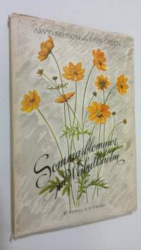 Sommarblommor