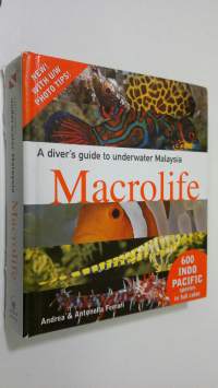 A Diver&#039;s Guide to Underwater Malaysia
