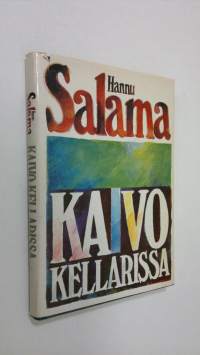 Kaivo kellarissa