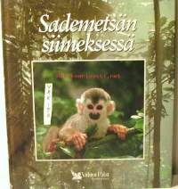 Sademetsän siimeksessä