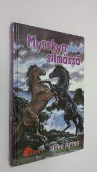 Myrskyn silmässä