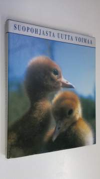 Suopohjasta uutta voimaa = The after-use alternatives of postharvesting peat production sites