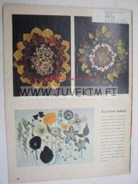 Omin käsin 1967 nr 3