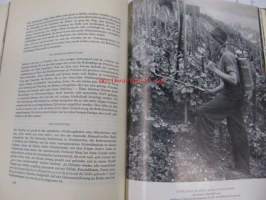 Das Buch vom Deutchen Wein