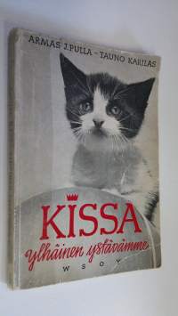 Kissa, ylhäinen ystävämme