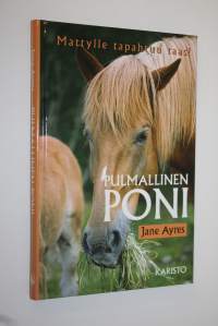 Pulmallinen poni (ERINOMAINEN)