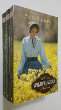 Sisters at Heart 1-3 : Where wildflowers bloom ; When the heart heals ; Love&#039;s sweet beginning