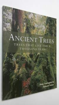 Ancient Trees : trees that live for a thousand years