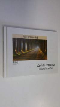 Lohdutettuna elämän teillä