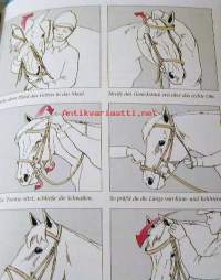 Kleines Hufeisen  GroBes Hufeisen Kombiniertes Hufeisen 