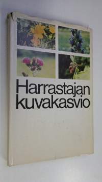 Harrastajan kuvakasvio