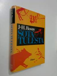 Sota tulesta