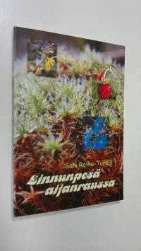 Linnunpesä aijanraussa (signeerattu)