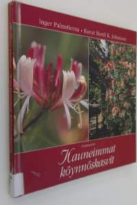 Kauneimmat köynnöskasvit