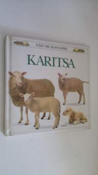 Karitsa