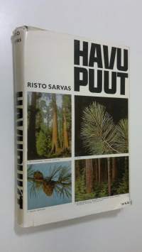 Havupuut
