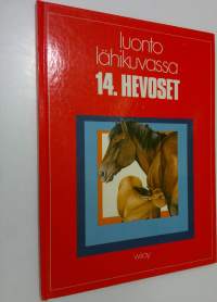 Hevoset